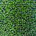 Искусственная трава для футбола MULTISPORT GRASS, 20 мм, 8800 DTEX