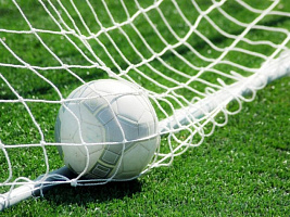 Сетка футбольная тренировочная 7,5х2,5 м  d=3,0 (А257)