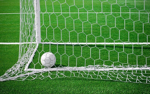 Сетка футбольных ворот FIFA шестигранная 7,5х2,5 м  d=5,0 (А429)