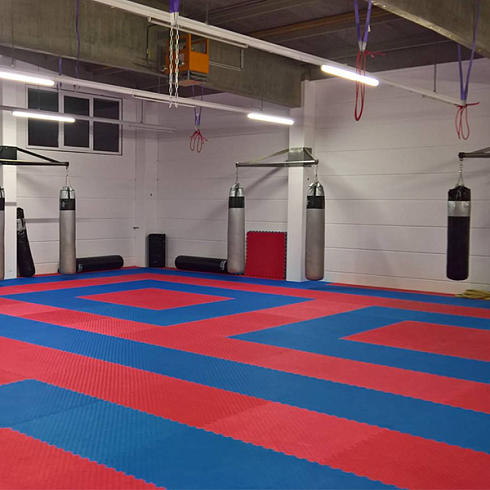 Будо-маты спортивные — 30 мм, синий/красный